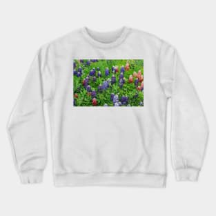 Field of Multicolored Bluebonnets Crewneck Sweatshirt